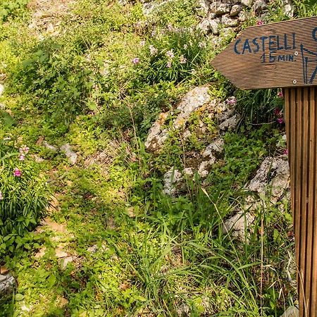Pensjonat Castelli Olive Press Acharavi  Zewnętrze zdjęcie