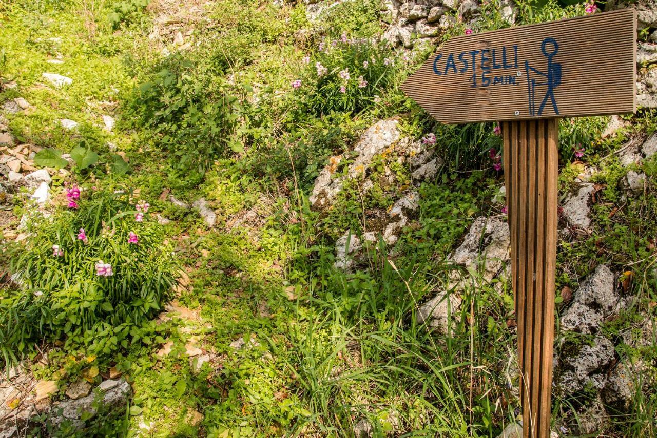Pensjonat Castelli Olive Press Acharavi  Zewnętrze zdjęcie