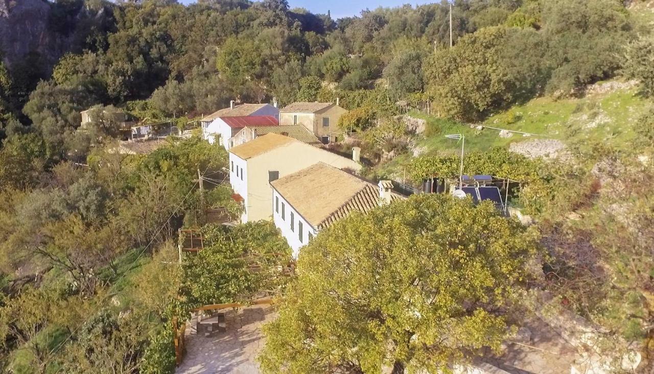 Pensjonat Castelli Olive Press Acharavi  Zewnętrze zdjęcie
